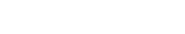 Insight Squad LLC